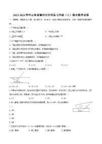 2023-2024学年山东省德州市齐河县七年级（上）期末数学试卷(含解析）