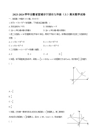 2023-2024学年安徽省宣城市宁国市九年级（上）期末数学试卷（含解析）