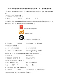 2023-2024学年河北省邯郸市永年区七年级（上）期末数学试卷（含解析）