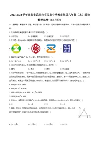 2023-2024学年湖北省武汉市卓刀泉中学教育集团九年级（上）质检数学试卷（12月份）（含解析）