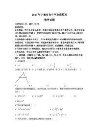 福建省宁德市2023届九年级中考模拟数学试卷(含答案)