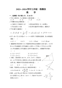 河南省洛阳市偃师区2024届九年级上学期一练模拟数学试卷(含答案)