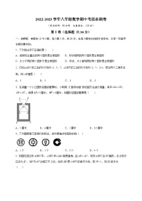 苏科版八年级上学期数学期中考前必刷卷（含答案解析）