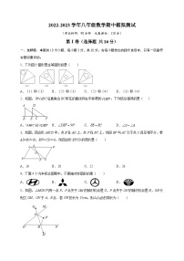 苏科版八年级上学期数学期中模拟测试卷（含答案解析）