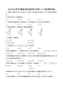 2023-2024学年安徽省合肥市肥西县七年级（上）期末数学试卷（含详细答案解析）