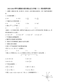 2023-2024学年安徽省合肥市蜀山区七年级（上）期末数学试卷（含详细答案解析）