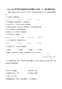 2023-2024学年河北省秦皇岛市昌黎县七年级（上）期末数学试卷（含详细答案解析）