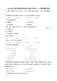 2023-2024学年吉林省吉林市永吉县七年级（上）期末数学试卷（含详细答案解析）