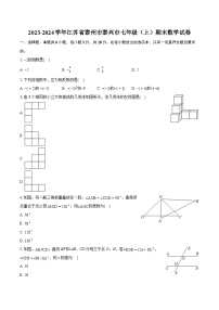 2023-2024学年江苏省泰州市泰兴市七年级（上）期末数学试卷（含详细答案解析）