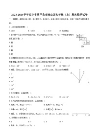 2023-2024学年辽宁省葫芦岛市连山区七年级（上）期末数学试卷（含详细答案解析）