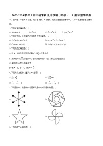 2023-2024学年上海市浦东新区川沙镇七年级（上）期末数学试卷（含详细答案解析）