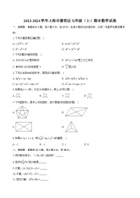 2023-2024学年上海市普陀区七年级（上）期末数学试卷（含详细答案解析）