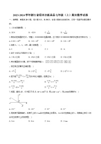 2023-2024学年浙江省绍兴市新昌县七年级（上）期末数学试卷（含详细答案解析）