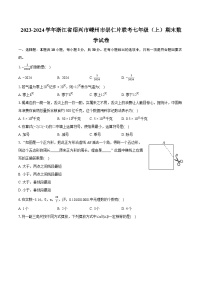 2023-2024学年浙江省绍兴市嵊州市崇仁片联考七年级（上）期末数学试卷（含详细答案解析）