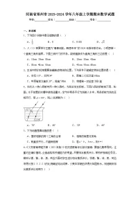 河南省郑州市2023-2024学年八年级上学期期末数学试题