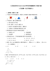 江苏省苏州市2023~2024学年苏科版数学八年级下册+3月份第一次月考练习2