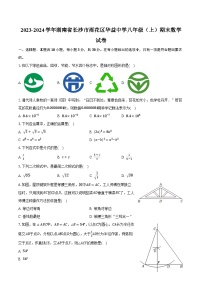 2023-2024学年湖南省长沙市雨花区华益中学八年级（上）期末数学试卷（含解析）