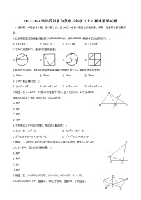 2023-2024学年四川省自贡市八年级（上）期末数学试卷（含解析）