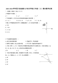 2023-2024学年四川省成都七中育才学校八年级（上）期末数学试卷（含解析）