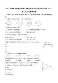 2023-2024学年湖南省长沙市岳麓区长郡双语实验中学九年级（上）第三次月考数学试卷（含解析）