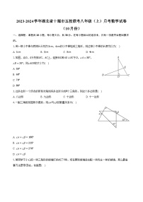 2023-2024学年湖北省十堰市五校联考八年级（上）月考数学试卷（10月份）（含解析）