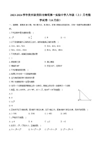 2023-2024学年贵州省贵阳市南明第一实验中学八年级（上）月考数学试卷（10月份）（含解析）