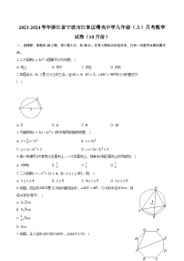 2023-2024学年浙江省宁波市江东区曙光中学九年级（上）月考数学试卷（10月份）（含解析）