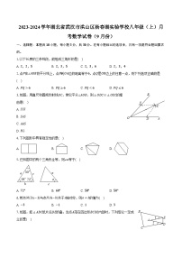 2023-2024学年湖北省武汉市洪山区杨春湖实验学校八年级（上）月考数学试卷（9月份）（含解析）