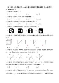 53，湖北省武汉市华中科技大学附属中学2023—2024学年下学期开学模拟检测考试-九年级数学(1)