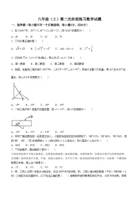 74，陕西师范大学附属中学2023-2024学年八年级上学期第二次月考数学试题()