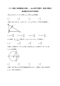 （六）锐角三角函数综合训练——2024届中考数学一轮复习锐角三角函数及其应用专项训练(含答案)