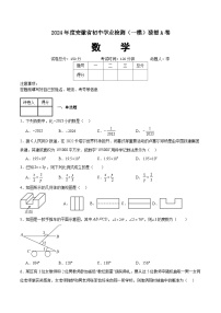 初中北京课改版7.5 猜想巩固练习