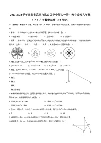 2023-2024学年湖北省武汉市洪山区华中师大一附中光谷分校九年级（上）月考数学试卷（12月份）(含解析）
