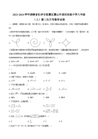 2023-2024学年湖南省长沙市岳麓区麓山外国语实验中学八年级（上）第三次月考数学试卷(含解析）