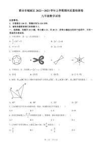 福建省莆田市城厢区2023届九年级上学期期末质检数学试卷(含答案)