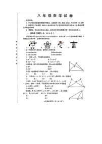 河南省洛阳市2023—2024学年八年级第一学期期末数学试卷(含答案)