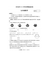 河南省驻马店市2023—2024学年九年级上学期期末数学试卷(含答案)