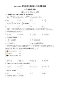 广西壮族自治区南宁市第三中学2023-2024学年七年级上学期期中数学试题