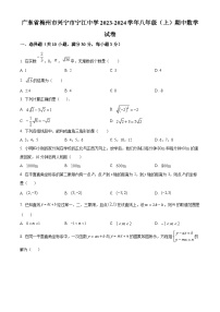 广东省梅州市兴宁市宁江中学2023-2024学年八年级上学期期中数学试题（原卷版+解析版）