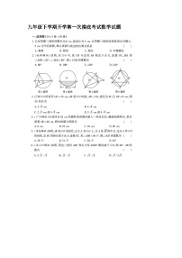 山东省宁津县苗场中学2023-2024学年下学期开学考试九年级数学试题