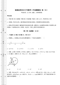 【难点解析】湖南省武冈市中考数学三年真题模拟 卷（Ⅱ）（含答案详解）