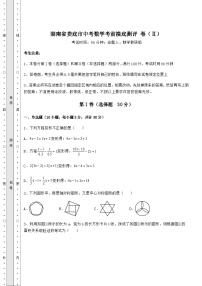 【难点解析】湖南省娄底市中考数学考前摸底测评 卷（Ⅱ）（含答案及解析）