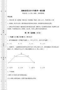 【真题汇编】湖南省武冈市中考数学一模试题（含答案及解析）