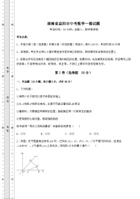 【真题汇编】湖南省益阳市中考数学一模试题（含答案及解析）