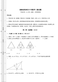 真题解析湖南省株洲市中考数学三模试题（含答案详解）