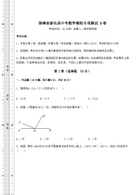 湖南省新化县中考数学模拟专项测试 B卷（含答案及解析）