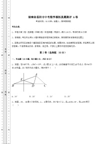 真题解析湖南省岳阳市中考数学模拟真题测评 A卷（含答案解析）