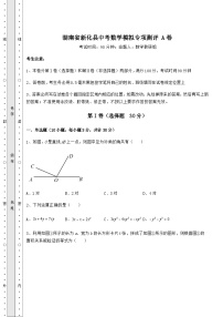 湖南省新化县中考数学模拟专项测评 A卷（含答案及解析）