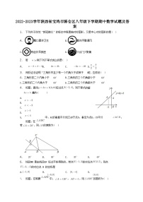 2022-2023学年陕西省宝鸡市陈仓区八年级下学期期中数学试题及答案