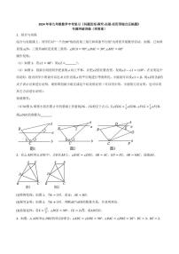 2024年数学中考复习+问题发现-探究-拓展-应用型综合压轴题专题